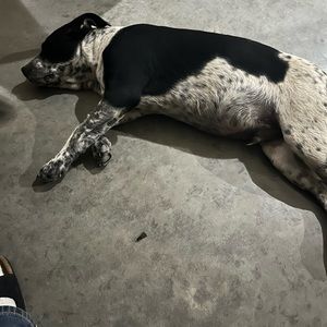 Meet your Posher, Jose